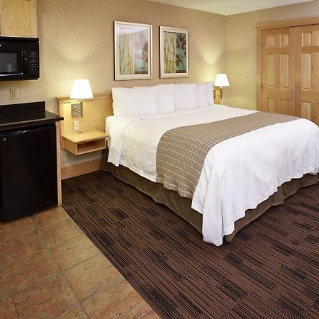 Livinn Hotel Minneapolis North / Fridley מראה חיצוני תמונה